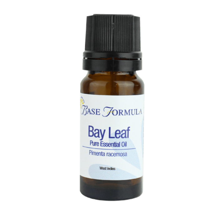 mGanna Natural Bay Leaf Essential Oil for Aromatherapy, Perfumes Formation  and Soap Making at Rs 2000/kg, तेज पत्ते का तेल in Ahmedabad